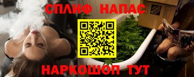 сатива Гай