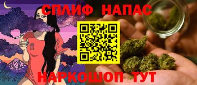 сатива Гай