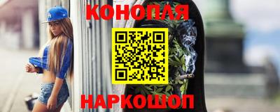 сатива Гай